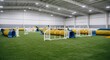 © Artyom - Indoor dog agility training area with various obstacles on artificial turf