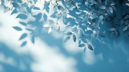 Poster - Delicate leaves stretch gracefully across a gentle light blue backdrop, casting soft and inviting shadows that evoke a sense of tranquility and calmness, inviting reflection and peace