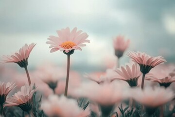 Poster - A picturesque scene of a field covered in pink flowers against a cloudy sky