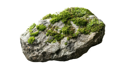 Poster - Moss growing on a rock with transparent background