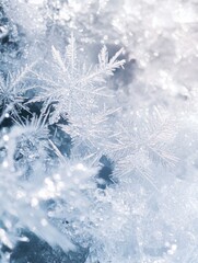 Poster - Close-up of snowflakes on a tree branch, perfect for winter or nature-themed designs