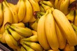 © kilimni - Colorful yellow ripe bunch of bananas (musa) on the counter of fruit and vegetable shop or supermarket in container, close-up. Shopping, healthy food
