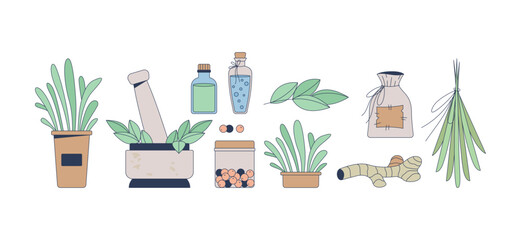 Poster - Herbal medicine and natural remedies 2D cartoon objects set. Herbs, essential oils, mortar pestle, spices dried plants isolated elements flat vector clip arts on white. Spot illustrations collection