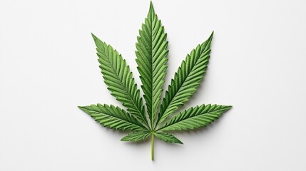 Poster - Lush bright green marijuana leaf displayed on a clean white background emphasizing nature's intricacies