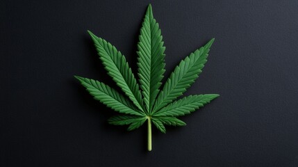 Poster - Bold marijuana leaf set against a black background creating a striking contrast and emphasizing its unique features