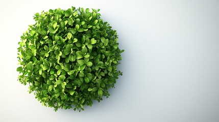 Poster - Vibrant green bush showcasing healthy growth and rich textures, adding natural beauty to outdoor environments