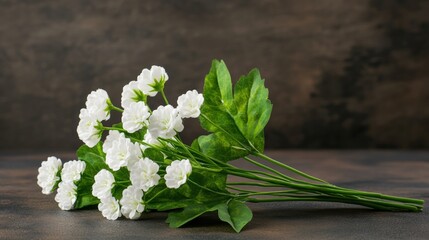 Poster - Delicate bunch of white babys breath flowers showcasing fine details in a lush natural setting for floral arrangements