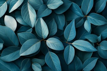 Poster - Vibrant green leaves layered together creating a stunning natural pattern in an outdoor setting