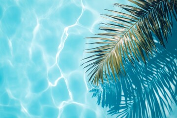 Poster - Tropical palm fronds casting shadows on clear turquoise water in a sunny water setting