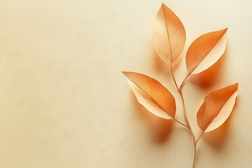 Aufkleber - Delicate orange leaves arranged on a soft beige background in a minimalist style