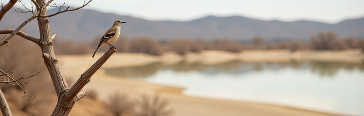 Wall Mural - a lone bird perched on a dry tree branch overlooking a dried up lake bed
