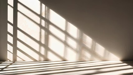 Poster - with illuminating white wall in empty room Minimalistic abstract simple Sunlight potted casting shadows on the floor and wall video 4k