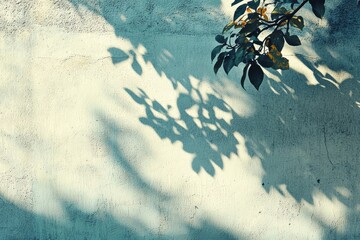 Poster - Abstract tree leaves shadow on a white wall creating an artistic contrast.