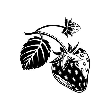 The Essence of Nature A Handcrafted Strawberry Logo for Pure Delight