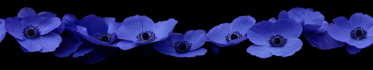 Poster - Floral Elegance: A delicate garland of vibrant blue flowers, each meticulously crafted, unfurls against a contrasting backdrop, its petals a testament to nature's beauty and the artistry of design.