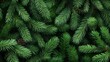 © Ms. Fox - Lush green pine needles with pine cones close-up forest texture