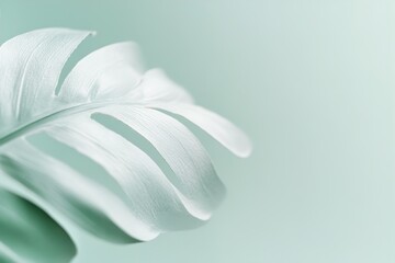 Poster - Light, organic brushstrokes in tropical green tones form a subtle footer, evoking a sense of calm reminiscent of palm leaves or ocean waves, ideal for advertising space