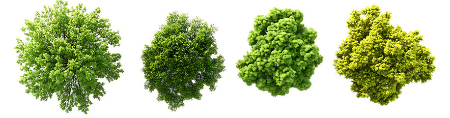 Cutout top view tree set landscaping on transparent background, high resolution PNG file