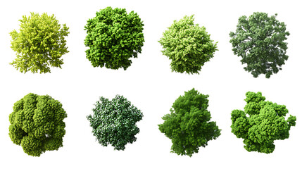 cutout top view tree set landscaping on transparent background, high resolution png file