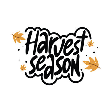 Harvest Season Lettering Vector Design.
