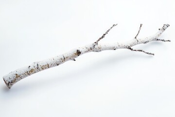 Poster - A snow-covered birch branch isolated on a white background, showcasing winter's beauty.