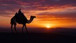 © Ashalina - Camel ride at sunrise in desert