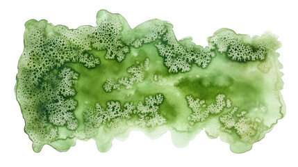 Wall Mural - one single light green watercolor aquarelle abstract splash stain isolated on white or transparent b