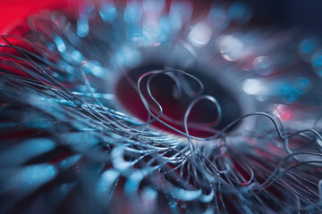 Poster - Intricate Close-Up of Abstract Blue and Red Fiber Optic Strands Creating a Hypnotic Pattern