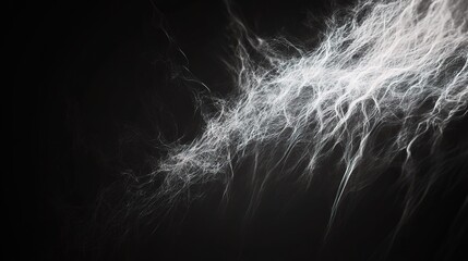 Poster - Abstract Smoke Art in Black and White with Elegant Flowing Design