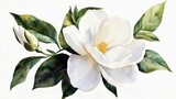 Elegant floral composition featuring a gardenia in watercolor style. 