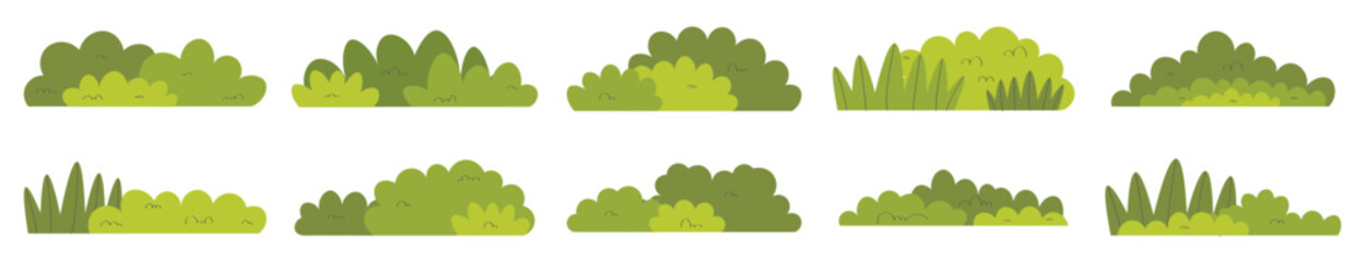 Set of Green Bush Grass Illustration