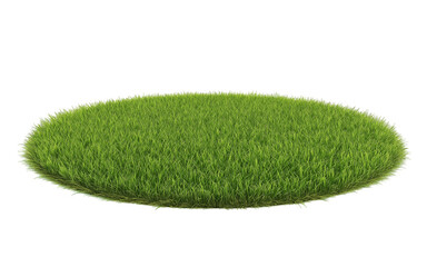 Patch of fresh green lawn grass, cut out
