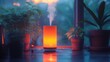 © esti - Sunset ambiance, orange diffuser, plants, window