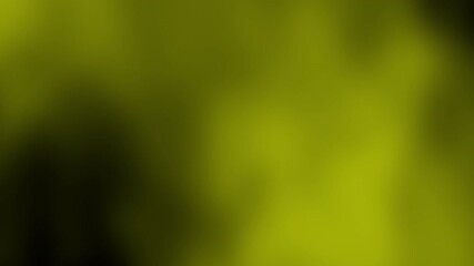 Poster - A blurred, abstract background in vibrant green hues, creating a soothing and tranquil visual atmosphere.