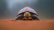 © Ciko - Red-footed Tortoise for Ground Close-up.