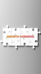 Aufkleber - Growth Hormone complex like a puzzle - pictured as word growth hormone on a puzzle pieces to show that growth hormone is complex and needs cooperating pieces that fit together. ,3d illustration