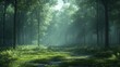© Chano_1_na - Serene Misty Forest Scene with Sunlight Filtering Through Lush Green Trees and Overgrown Grass