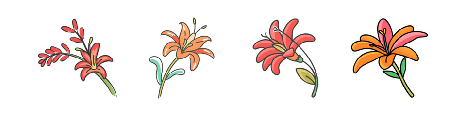 Poster - crocosmia flower icon, crocosmia flower vector illustration-simple illustration of crocosmia flower, perfect for crocosmia flower logos and icons
