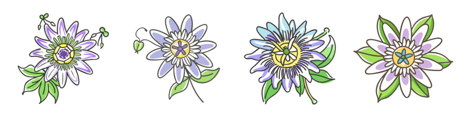 Poster - passionflower flower icon, passionflower flower vector illustration-simple illustration of passionflower flower, perfect for passionflower flower logos and icons