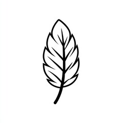 Fototapete - Feather black vector line symbol, sharp design representing lightness and creative inspiration on a white backdrop.