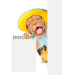 Poster - Happy Mastiff puppy wearing denim overalls with tool belt shows empty list from behind blank white banner. Isolated on white background