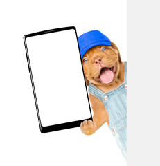 Poster - Happy Mastiff puppy wearing blue cap and denim overalls shows big smartphone with blank screen behind blank wihte banner. Empty space for text. Isolated on white background