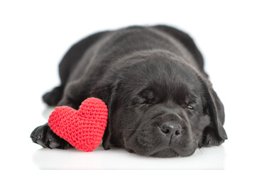 Poster - Sleepy Black labrador puppy hugs red heart. Isolated on white background
