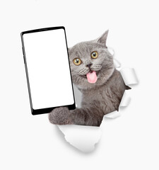 Poster - Surprised cat with tongue out holding big smartphone with white blank screen through torn white paper hole. Empty free space for mock up