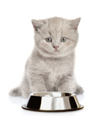 Poster - Cute cute kitten stands with empty bowl. isolated on white background