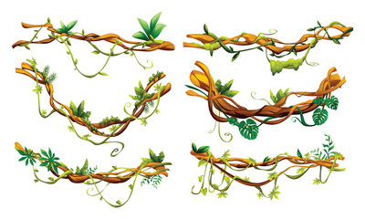 jungle liana vines with intertwined branches and lush leaves, ideal for natural and botanical design