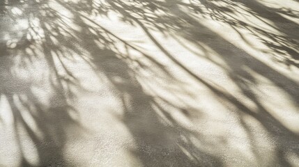Poster - Soft Leaf Shadows on Smooth Surface with Natural Light Patterns