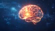 © xiongku - Glowing Digital Brain Network Abstract Background
