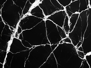 Aufkleber - A close-up shot of a black and white marble surface with unique patterns and textures