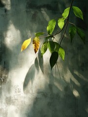 Poster - A plant with green leaves growing on a wall